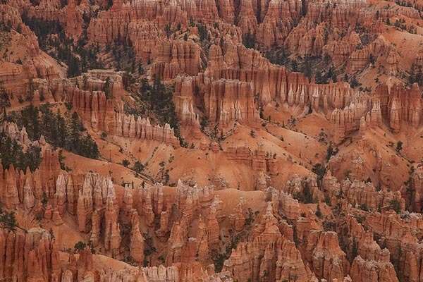 Hoodoos, no. 9405, Bryce Canyon National Park, UT  2010 © 2010 Megan W. Delaney, MegansPhotoImages : Landscapes, Nature : Megan W. Delaney Photography     