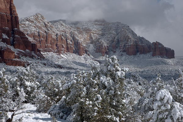 Coconino National Forest, no. 8512, Sedona, AZ 2011 © 2016 Megan W. Delaney, MegansPhotoImages : Landscapes, Nature : Megan W. Delaney Photography     